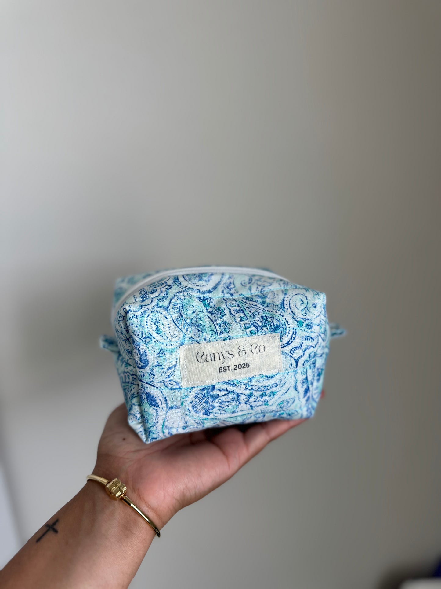Aqua mini makeup bag